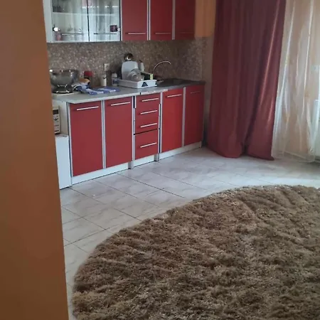 Homestay Mirel Ursu